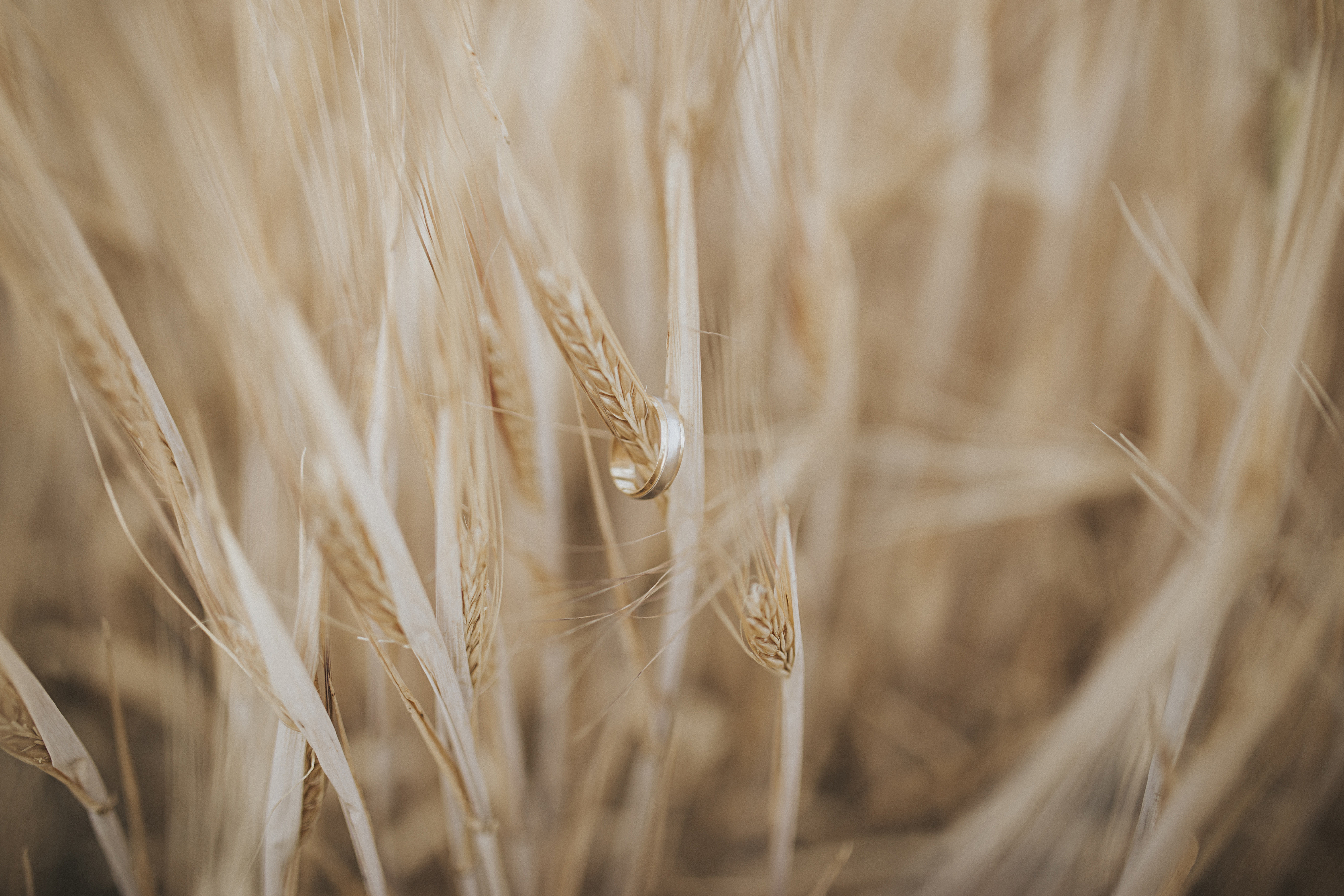 boda-Paqui-Juan-Sevilla-Posboda-047