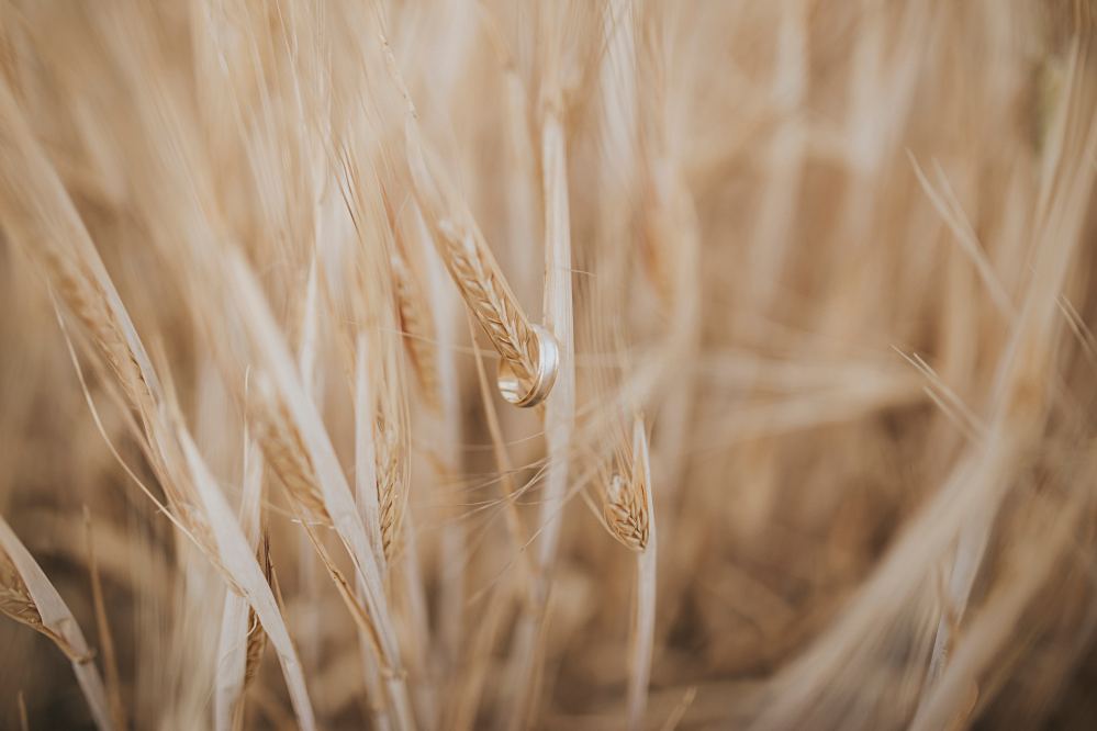 boda-Paqui-Juan-Sevilla-Posboda-047