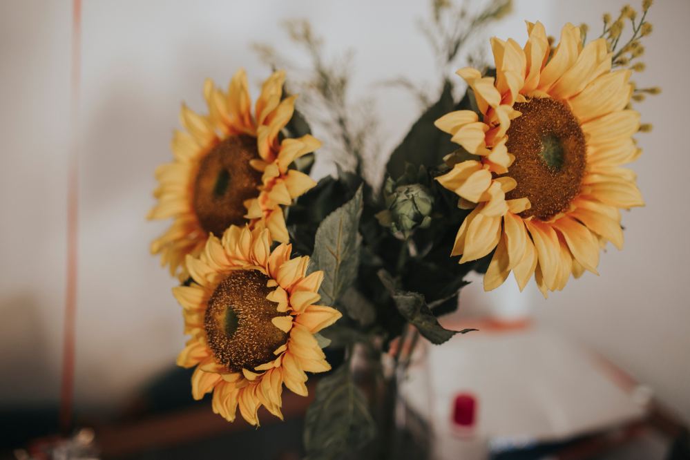 Marisa&amp;Paco 0180